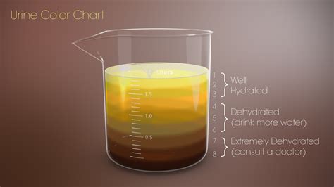 urine color chart scientific animations