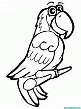 Burung Mewarnai Diwarnai Beo Kartun Pohon sketch template