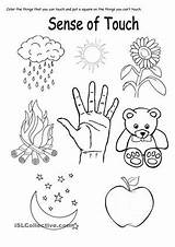 Worksheet Touch Sense Senses Worksheets Kindergarten Printable Coloring Five Worksheeto Via Grade sketch template