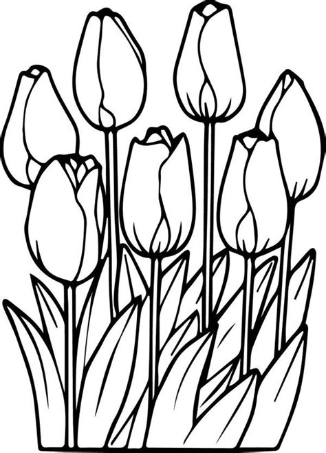 tulip flower coloring pages patricia sinclairs coloring pages