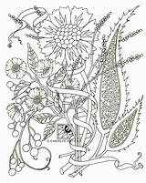 Coloring Pages Adults Adult Flowers Flower Paisley Pdf Printable Color Spring Print Abstract Floral Colouring Kids Mediterranean Easy Azcoloring Cynthia sketch template