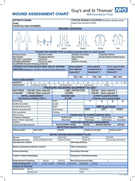 wound assessment chart  wound health sciences