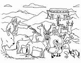 Ark Coloring Pages Bible Noah Story Printable Noahs Drawings Animal Creation Color Drawing Clipart Animals Kids Sheets Flood Print Book sketch template