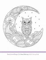Colouring Colorear Packer Relieving Eule Chouette Owls Zum Ausmalen Eulen Pergamano Relaxar Libro Designlooter Hibou sketch template