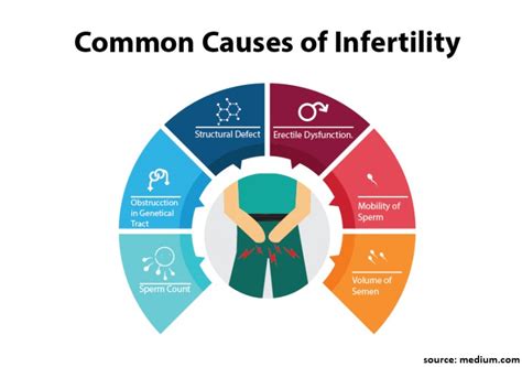 infertility in men everything you need to know nisha ivf centre