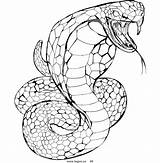Snake Cobra Coloring Pages King Ninjago Logo Rattlesnake Head Animals Venomous Drawing Clipart Royalty Printable Draw Color Stock Viper Drawings sketch template
