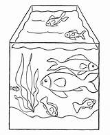 Coloring Fish Pages Tank Color Kids Print Printable Creativity Develop Recognition Ages Skills Focus Motor Way Fun sketch template