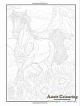 Haven Horse Number Horses Choose Board Coloring Books sketch template