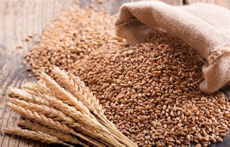 federal govt slams provinces  hiking wheat price  tv
