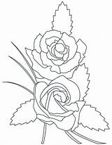 Mewarnai Bunga Mawar Untuk Paud sketch template