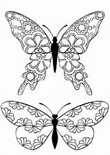 Coloring Pages Butterfly Printable Butterflies Adults Templates Adult Childhood Relive Buzzle Colouring Color Book Template Sheets Kids Drawing Grown Group sketch template