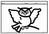 Owl Coloring Kids Pages Kindergarten Funny sketch template