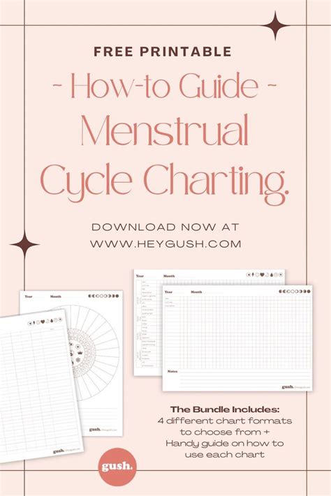 printable guide  menstrual cycle charting