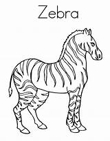 Zebra Coloring Pages Realistic Color Stripes Clipart Print Getcolorings Printable Colorings Choose Board Getdrawings sketch template
