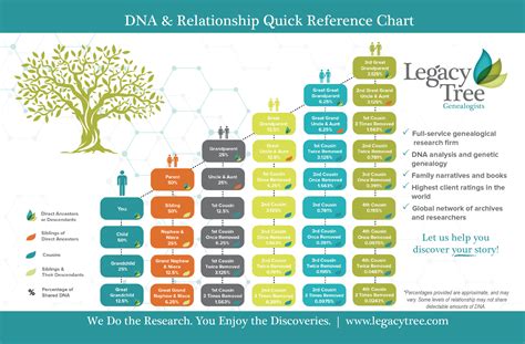 develop  dna testing plan  genealogy genealogy gems