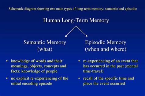 image result  semantic memory ap psychology episodic memory words