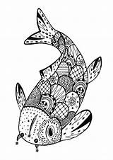 Zentangle Fish Coloring Adults Rachel Pages Adult Beautiful Very sketch template