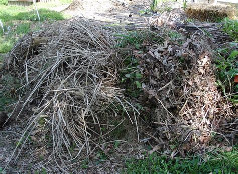 garden  trash heap   nest