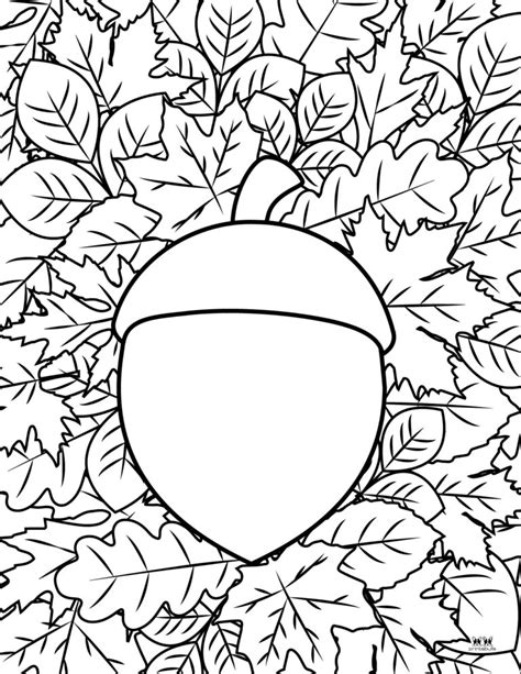 leaf outlines templates coloring pages   pages printabulls