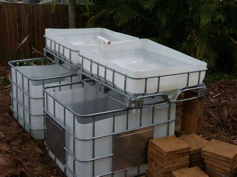 ibc system  fish tank  sump tank  grow beds