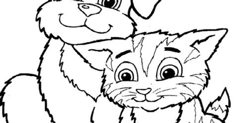 color dogs  cats cute cat  dog coloring pages printable cat