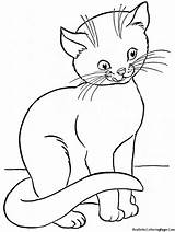 Coloring Cat Pages Realistic Kitten Outline Comments Coloringhome Popular sketch template