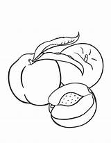 Peach Coloring Pages Printable Coloringcafe Fruit Color Kids Pdf Templates Peaches Choose Board Crafts Books sketch template