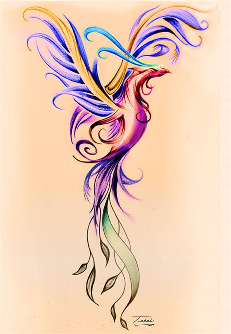 phoenix color drawing  terri meredith