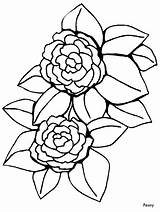Coloring Peony Pages Flowers Flower Printable Realistic Outline Simple Print Camellia Color Cartoon Patterns Clipart Sheets Becuo Coloringpagebook Popular Embroidery sketch template