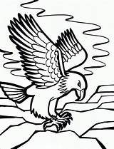 Eagle Coloring Pages Bald Printable Kids sketch template