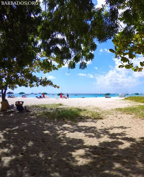 Relaxing In The Shade At Brownes Beach On The West Coast Of Barbados
