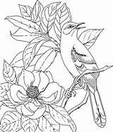 Colorat Flori Coloriage Magnolii Magnolia P08 Planse Pintar Bordar Primiiani Bird Voturi Vizite Desene Magnolias Enfant sketch template