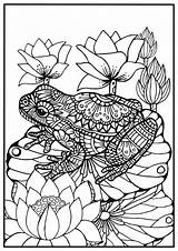 Frog Coloring Adult Pages Adults Book Mandala Vuxna Målarbild Groda För Color Och Lily Animal Färglägg Getdrawings På Vackra Choose sketch template