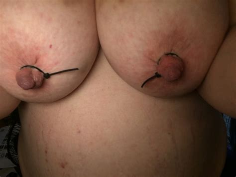 zip ties for nipples on bruised udders motherless