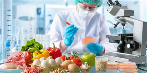 master  science food science  technology curtin university