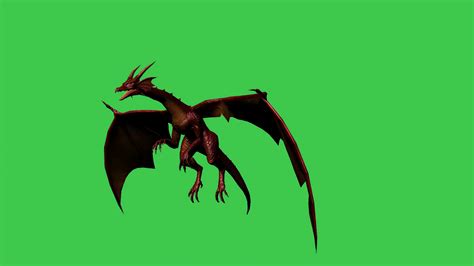 3d animation of dragon in fly separated on stock motion graphics sbv