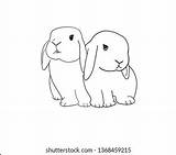 Lop Rabbits sketch template