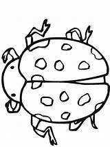 Coloring Insect Ladybug sketch template
