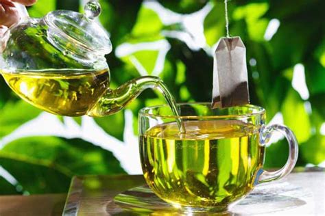 yeşil Çay nedir nasıl kullanılır faydaları ve zararları nelerdir blog gen tr