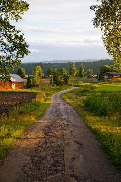 a country lane on a summers evening in varmland sweden