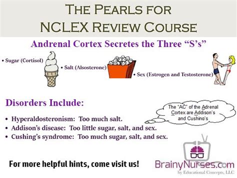 10 best endocrine system nclex review images on pinterest