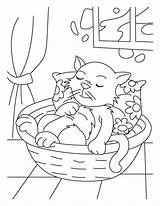 Dreamland Coloring Pages Cat Bestcoloringpages sketch template