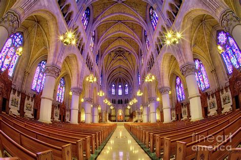 cathedral basilica   sacred heart  photograph  jerry fornarotto