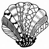 Zentangle Coperture Stilizzato Stylized Doodle Makhenda Seashell Aquatic sketch template