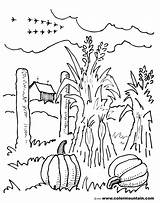 Coloring Fall Scenery Pages Scene Autumn Farm Corn Stalks Drawing Colouring Color Sheet Getdrawings Beautiful Getcolorings Printable Arrived Just sketch template