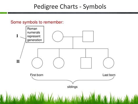 Ppt Pedigree Charts Powerpoint Presentation Free Download Id 2148184
