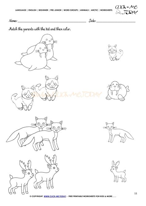 arctic animals worksheet activity sheet match