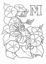 Coloring Fairy Flower Alphabet Pages Fairies Morning Glory Colouring Book Letter Magic Letters Adults Gif Adult Print Printable Coloriage Sur sketch template
