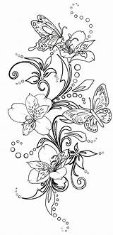 Butterflies Swirls Metacharis sketch template