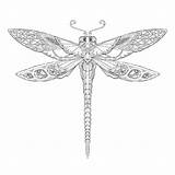 Dragonfly Kolorowanka Antystresowa 101coloring Kolorowanki Antystresowe Motyl sketch template
